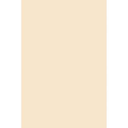 BOARD,TAG,HW,12X18,ML,100SH