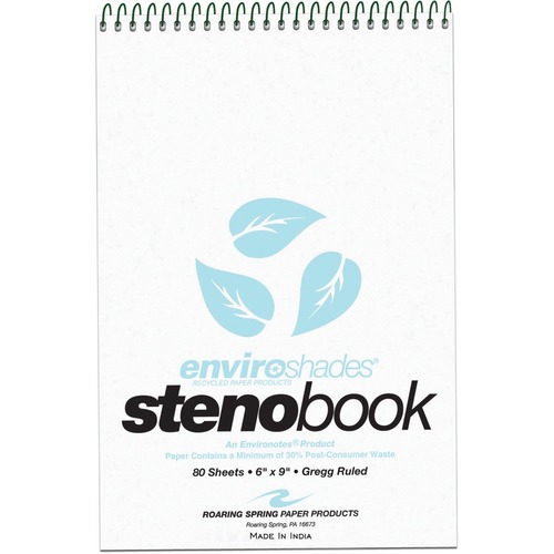 NOTEBOOK,STENO,6X9,BE