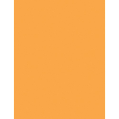 PAPER,MLTI-PURPOSE,OE,500SH